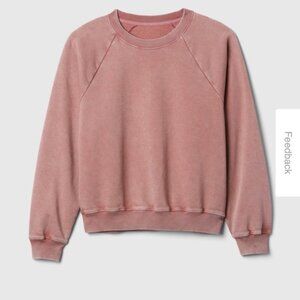Gap Vintage Soft Raglan Sweatshirt